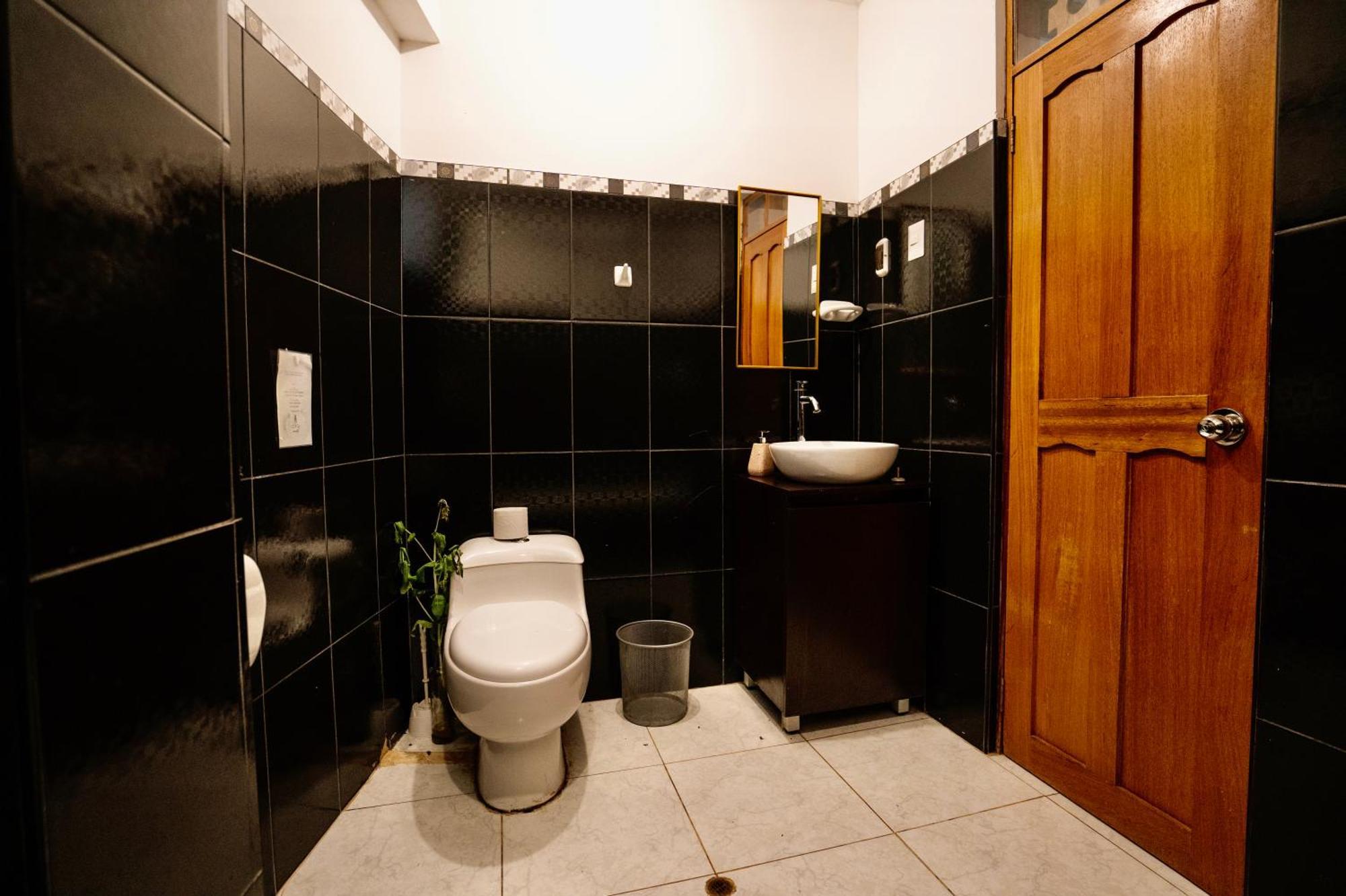 Blue Lotus Retreat Center Bed & Breakfast Pisac Dış mekan fotoğraf